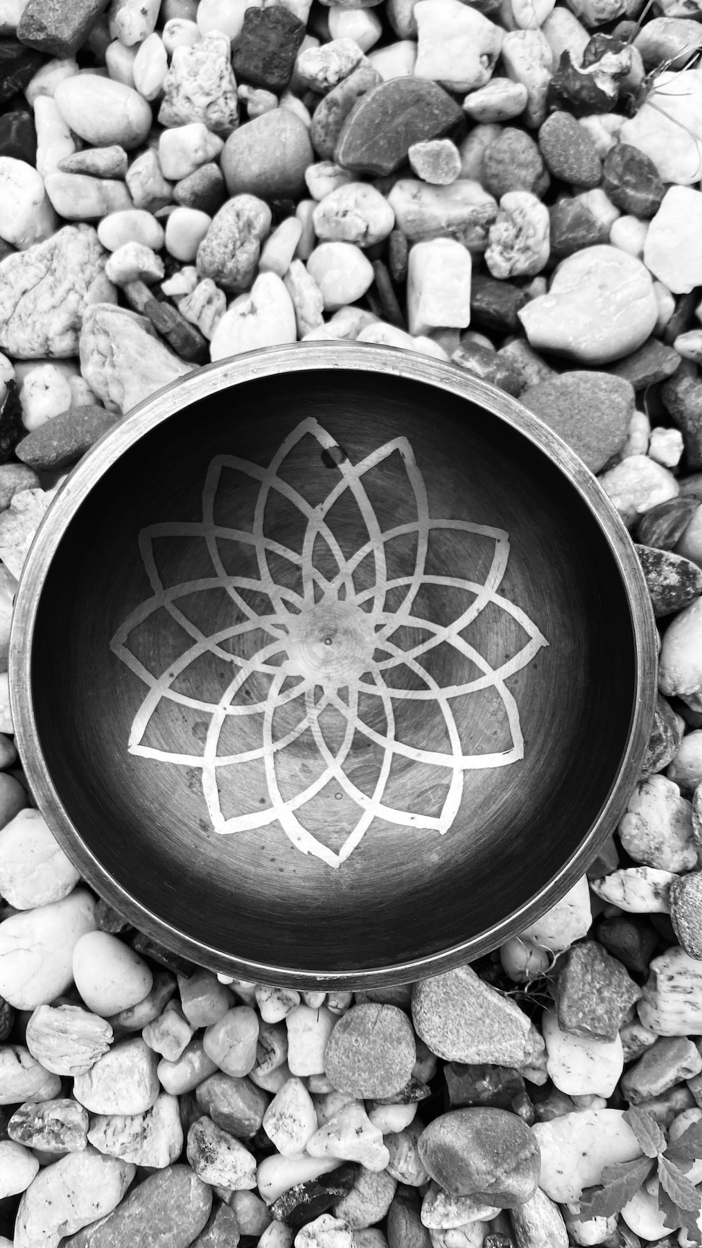 shamatha en vipassana meditatie 